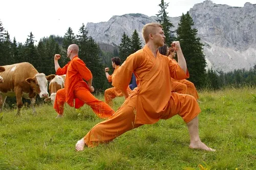Qi Gong Wanderung Feichtau 2017.webp